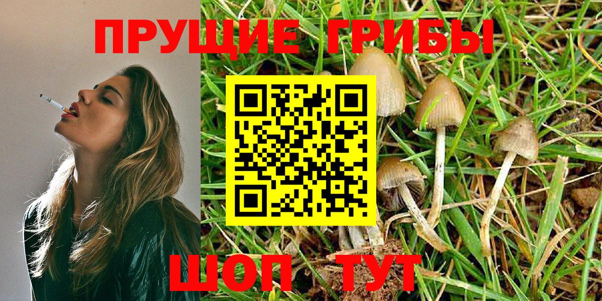 Зеленогорск  Галлюциногенные грибы Magic Shrooms  Вход с VPN  Псилоцибиновые грибы Cubensis 