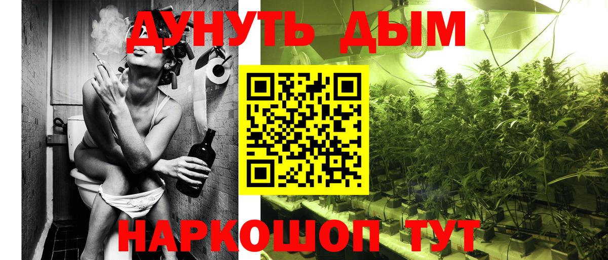 Бошки Шишки Ganja  Конопля сатива  Марихуана AK-47  Вход с VPN  Зеленогорск  Шишки марихуана сатива 